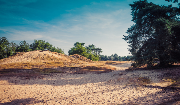 Stuifduinen in Limburg 