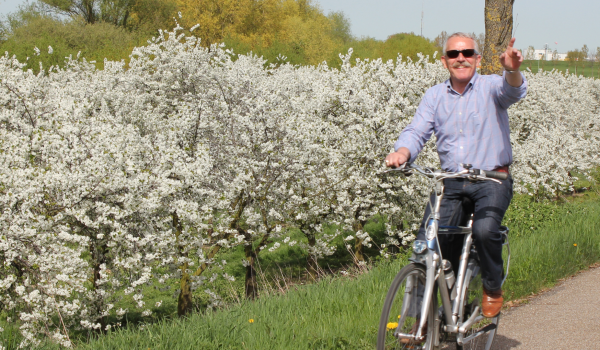 Cyclist in between flowers 