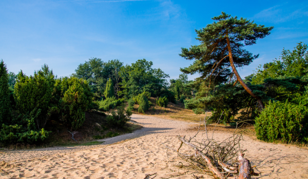 Maasduinen North-Limburg 