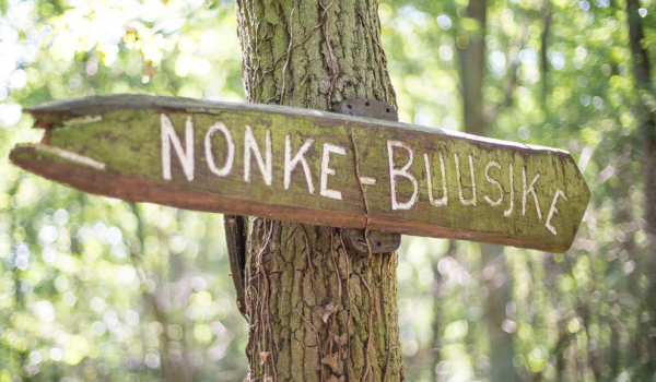 Sign in the forest 