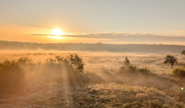 Herbst im Herz Limburgs