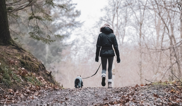 Wandelen in Zui-Limburg 